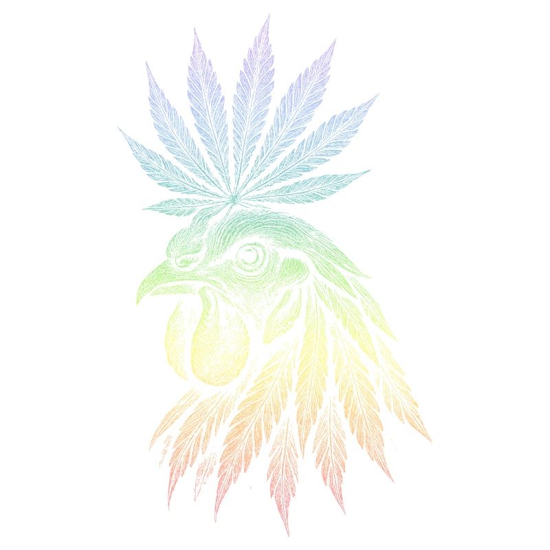 Coq