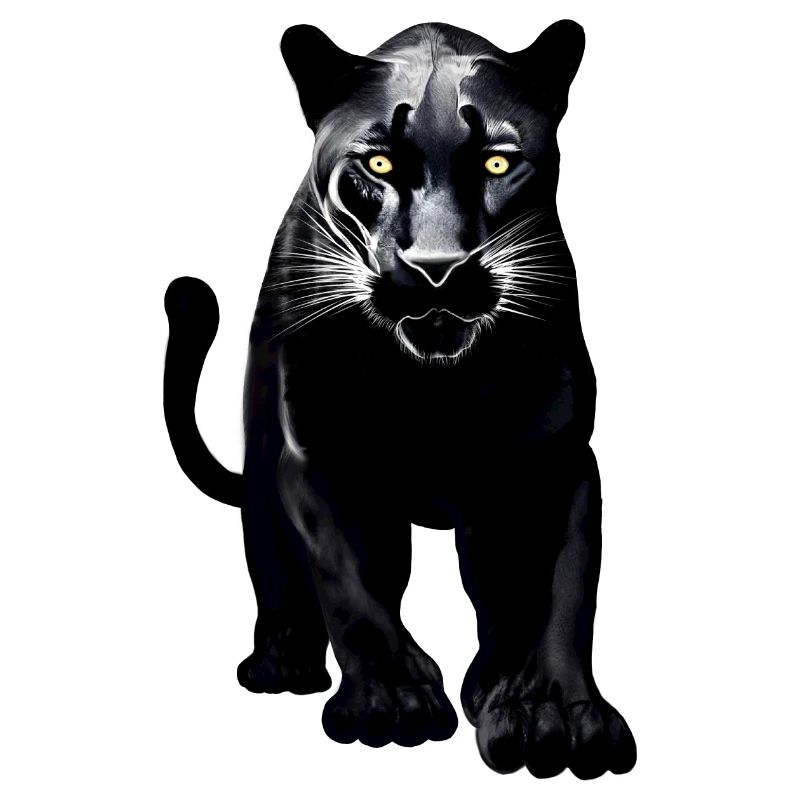 Schwarzer Leopard