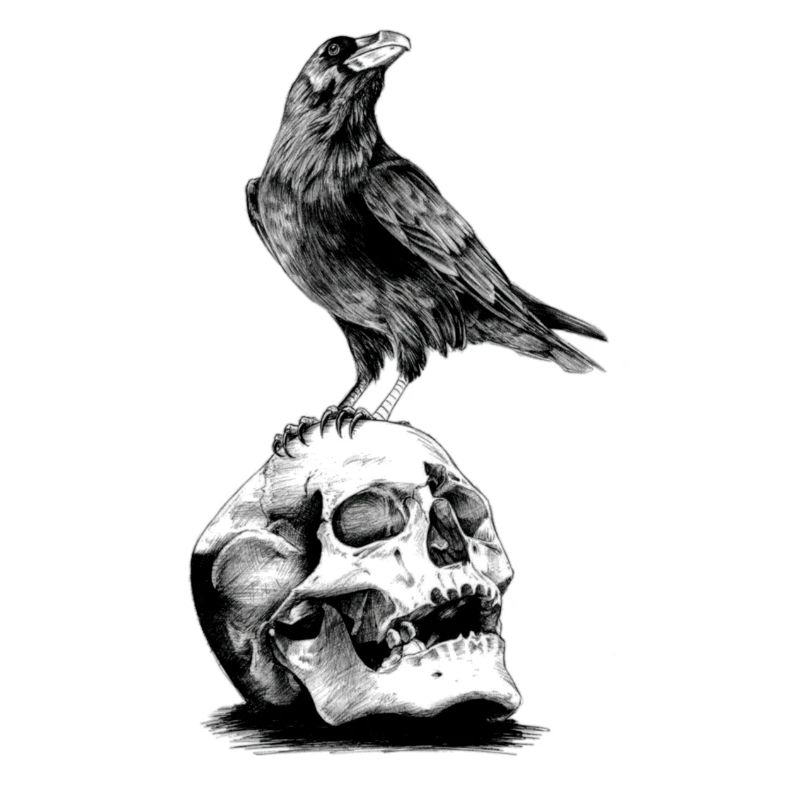 Skull mit Krähe