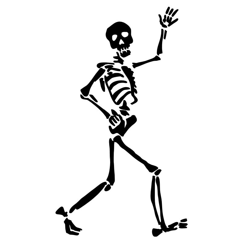 Skeletton