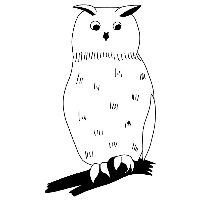 Uhu - Grafik schwarz-weiss