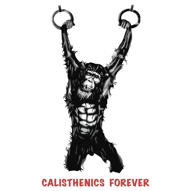 Calisthenics Evolution - Gymnastics Rings