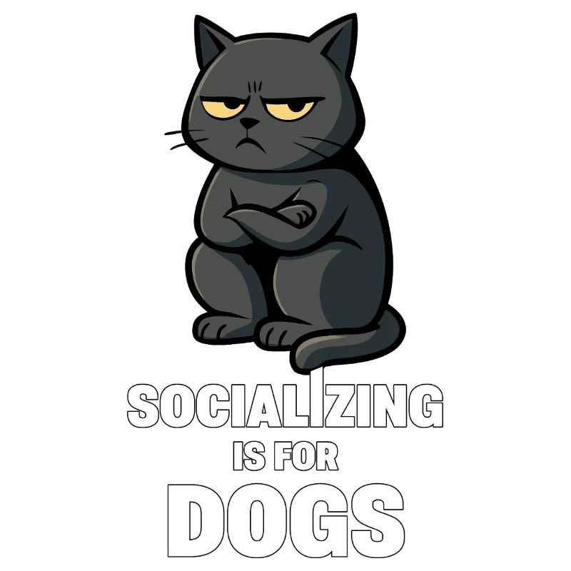 La socialisation est pour les chiens – Humeur de chat antisociale