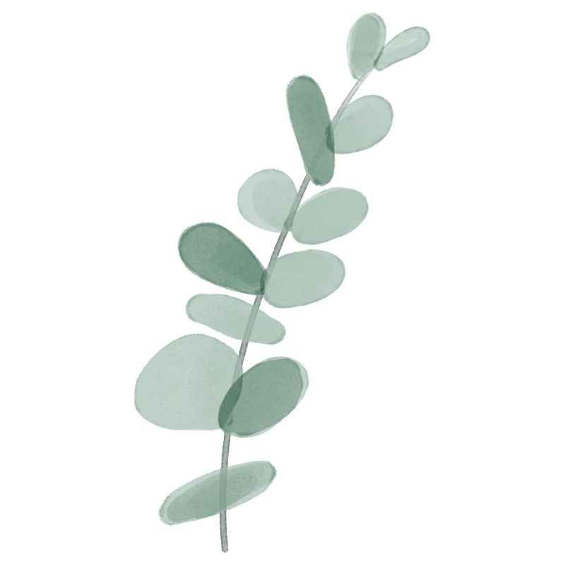 Eucalyptus