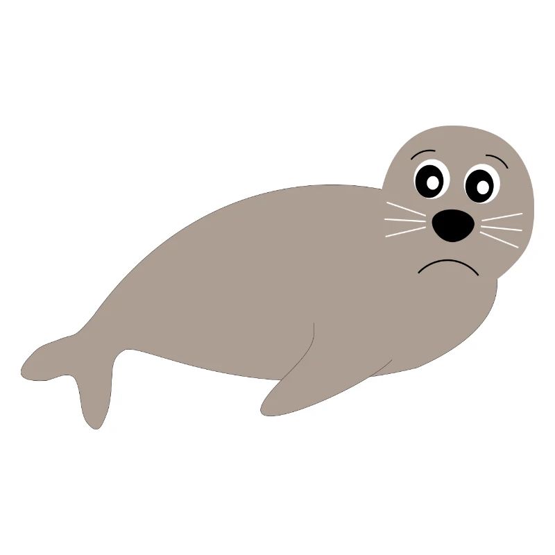 Sceaux, phoques, phoques, phoques animaux