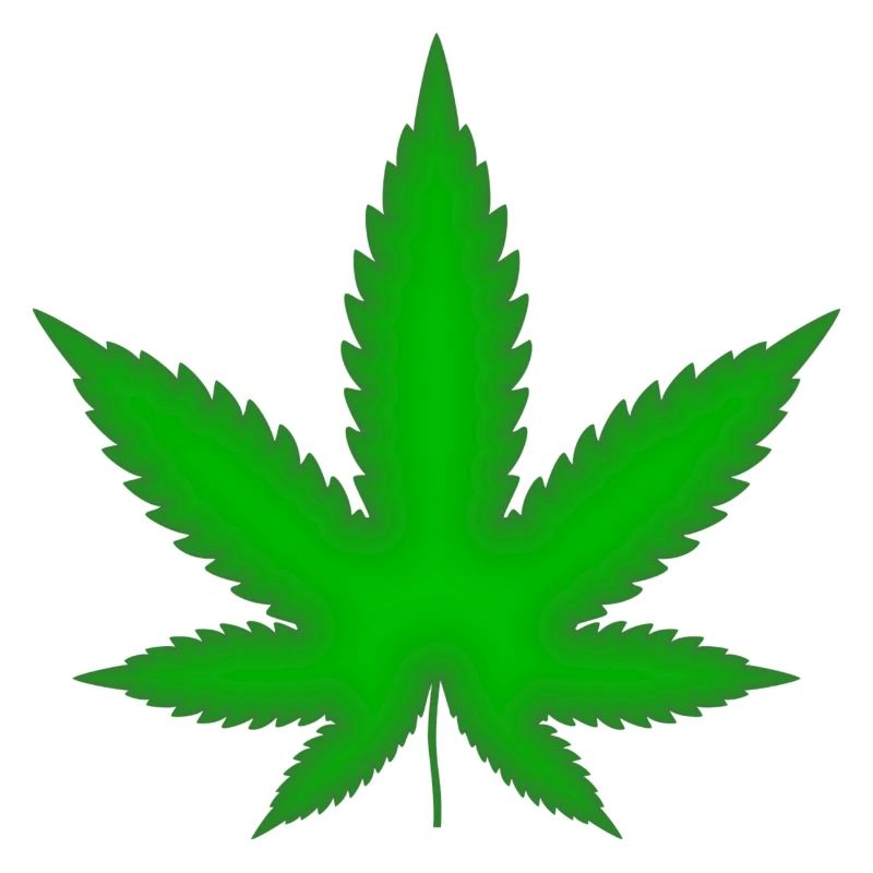 Marijuana leaf