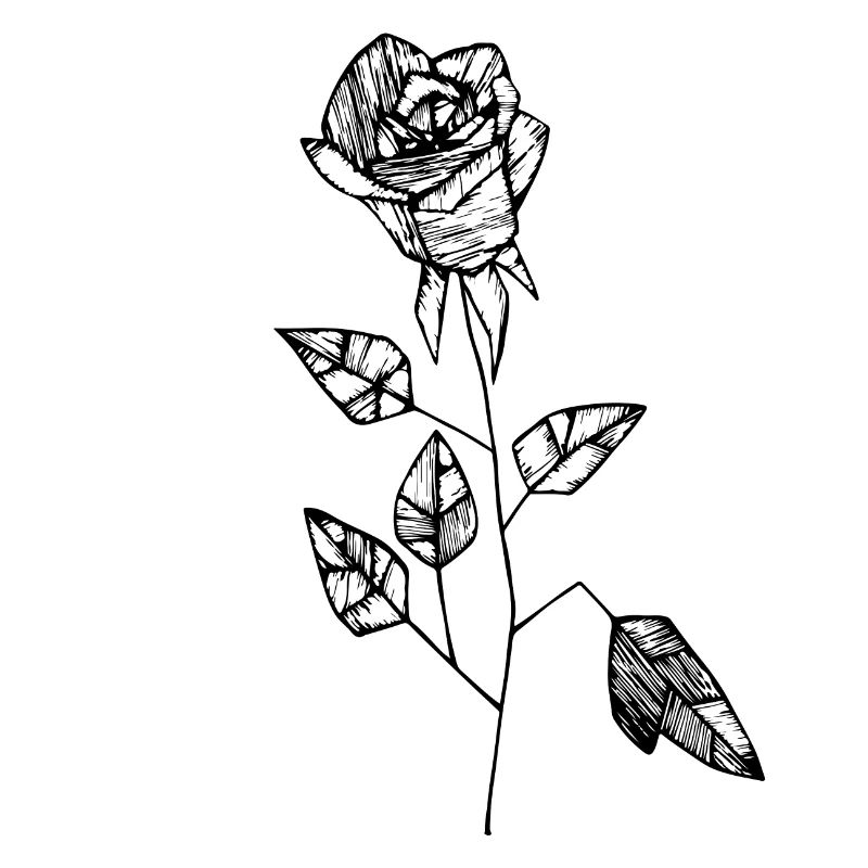 rose