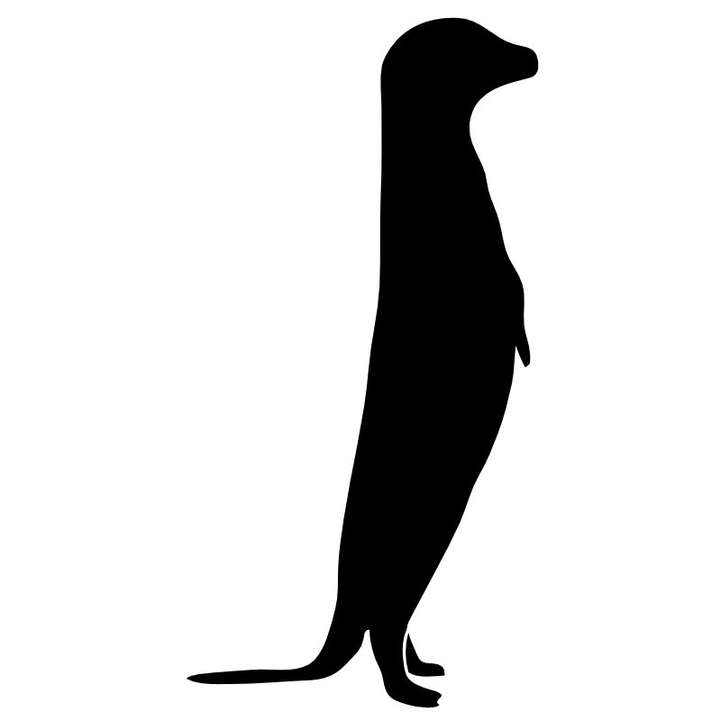 Erdmännchen // Surikate // Afrika // afrikanisch