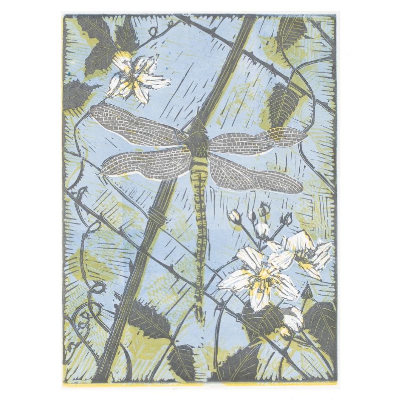 Dragonfly on Bramble Danielle Stretch