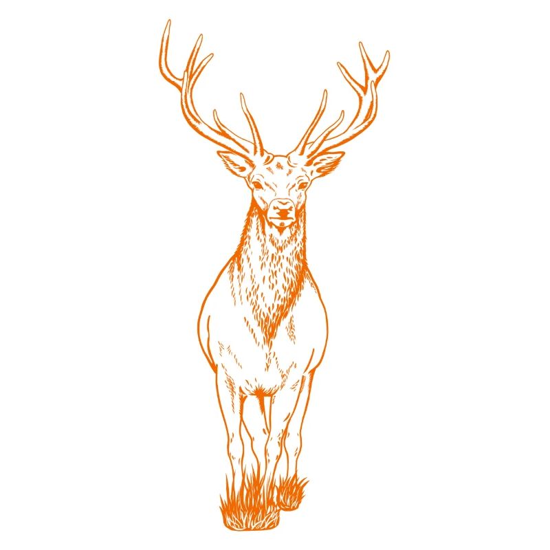 Orange cerf