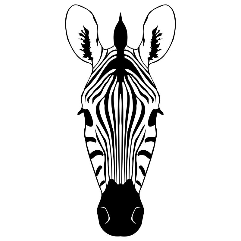 Illustration de zèbres