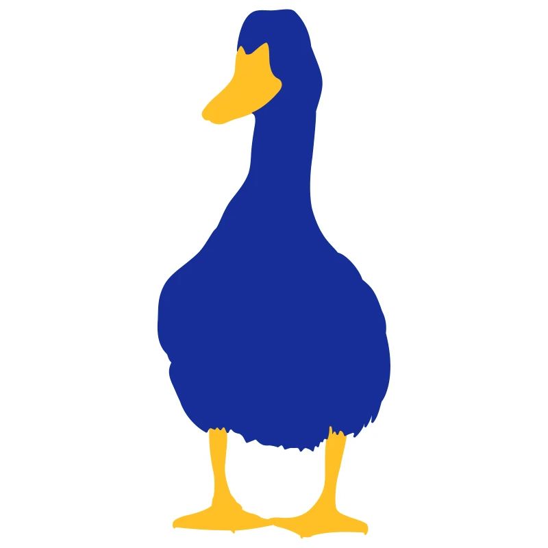 canard