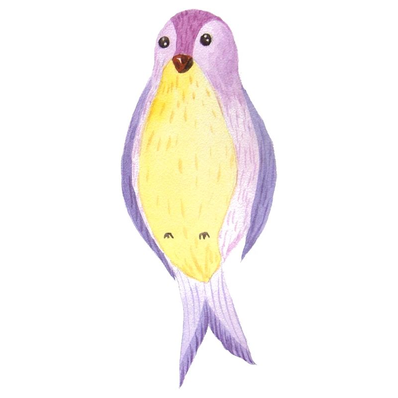 Schwalbe Aquarell