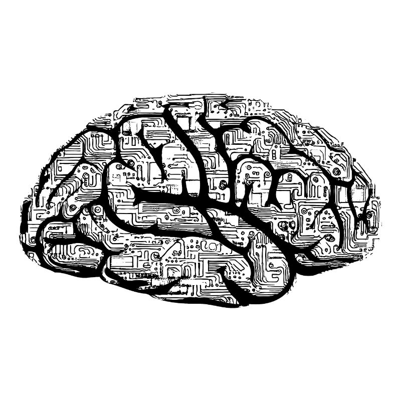 Black Brain NEUROSCIENCE