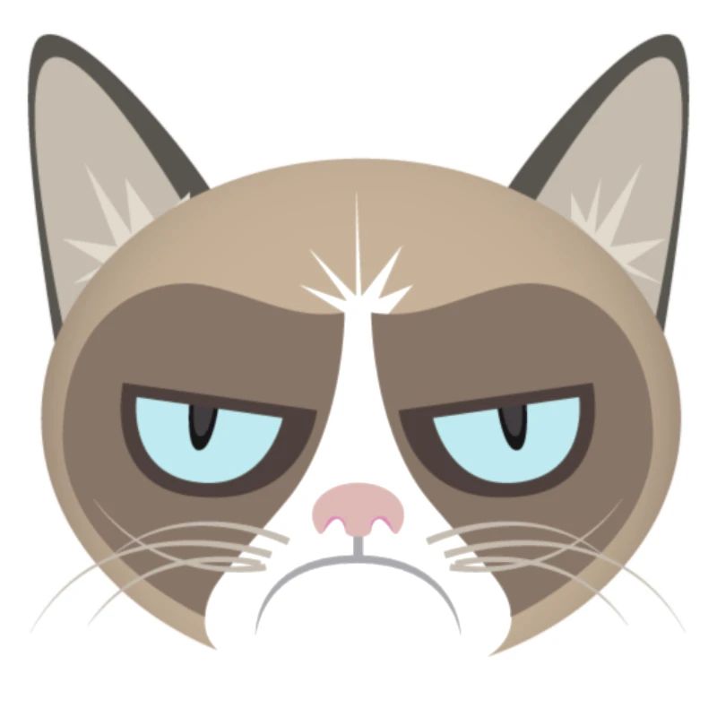 Grumpy Cat