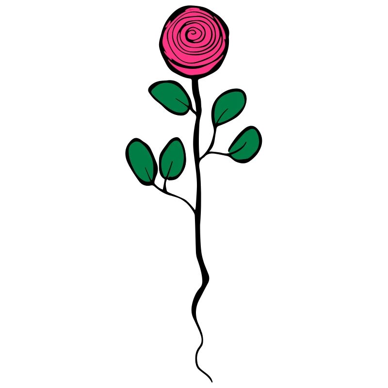 rose