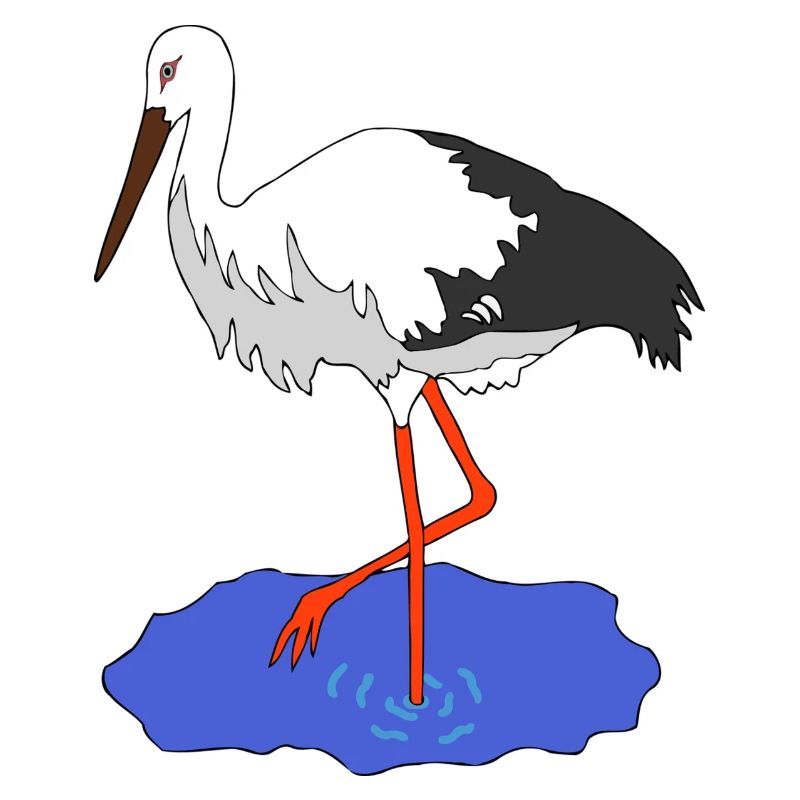 cicogna