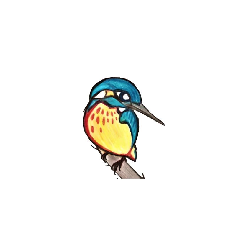 Eisvogel