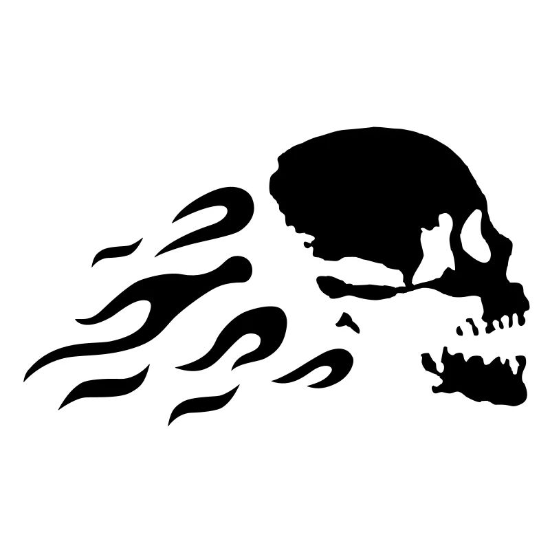 fast_skull