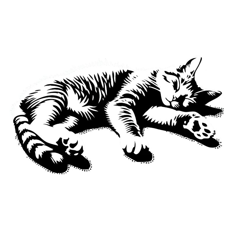 Faule Katze Schlafende Katze | Katzenjammer