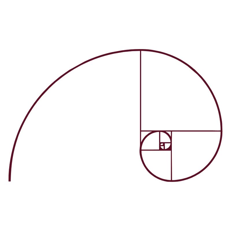 Spirale de Fibonacci, section doré, Phi, evolution