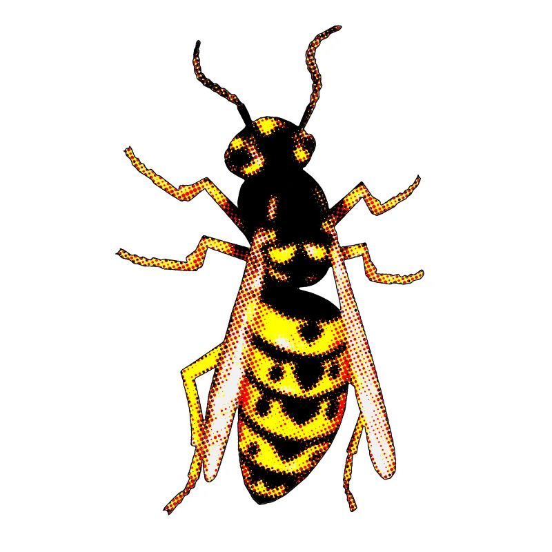 Wasp 1