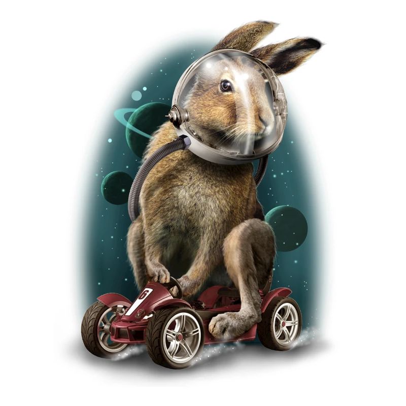 Rabbit race