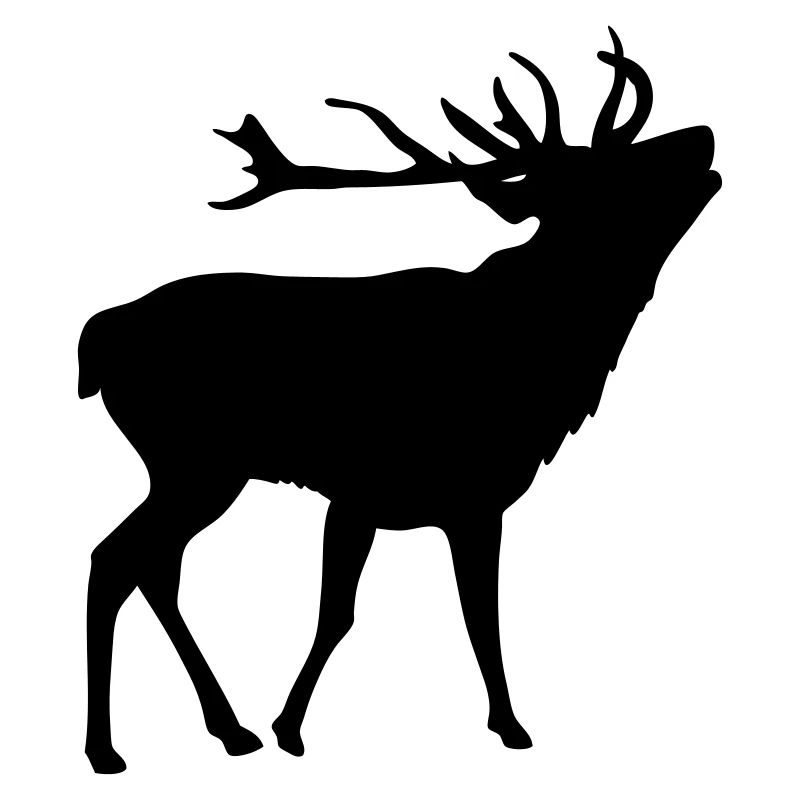 Hirsch