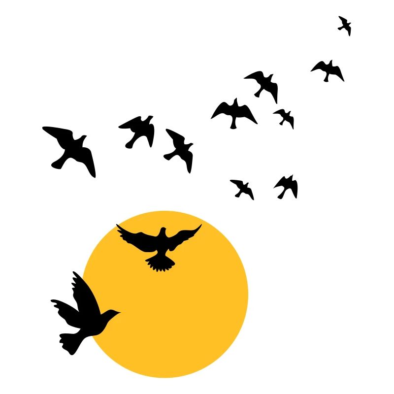 Birds in the sunset
