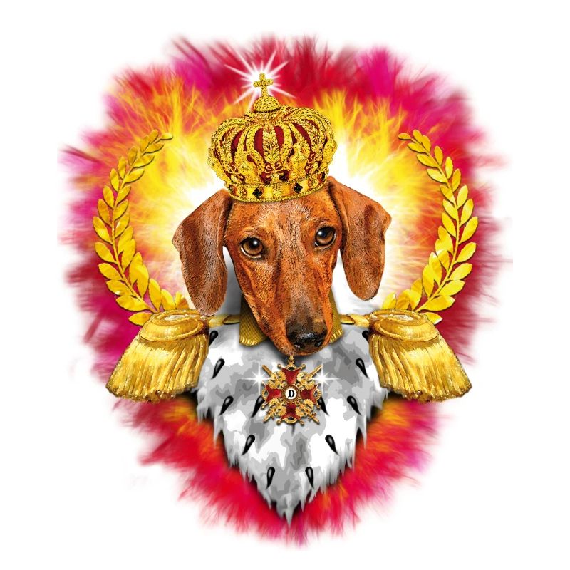 Teckel chien roi / teckel avec le roi