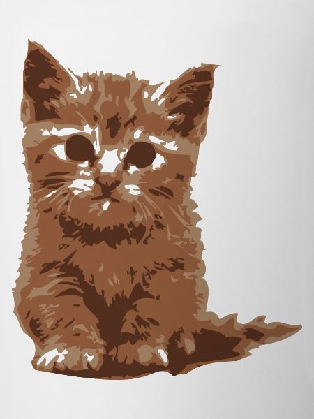 châton roux, cat