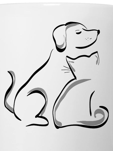 dog and cat