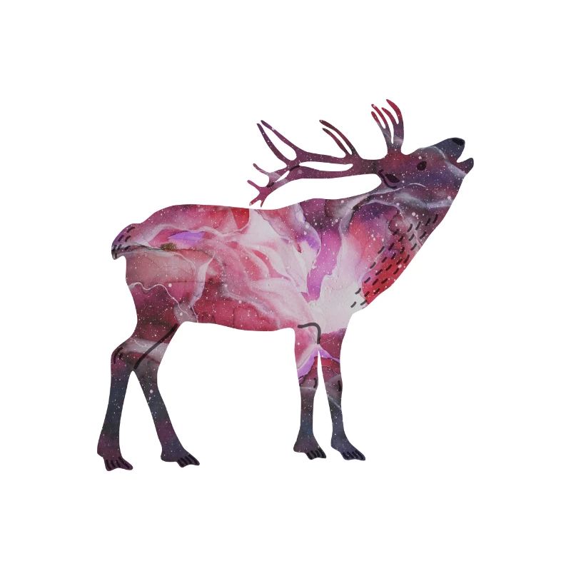 espace Hirsch
