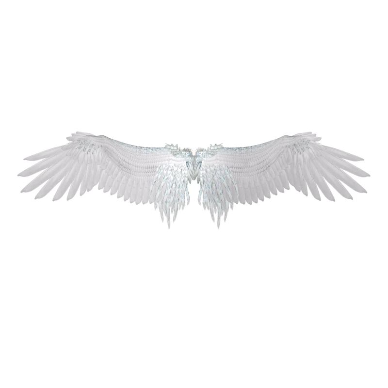 ailes d'ange