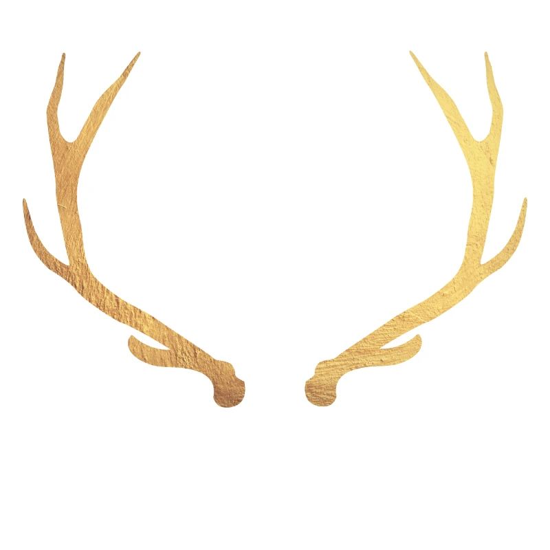 Gold deer - deer antler