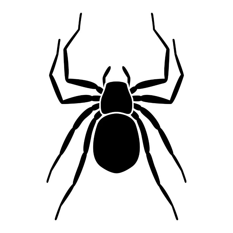 araignée