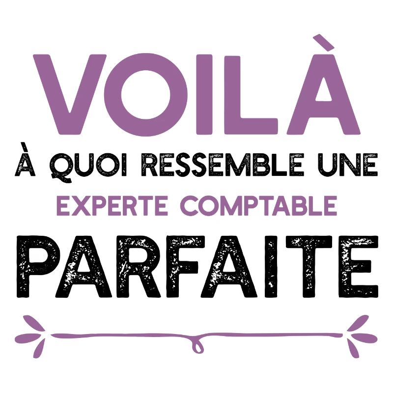 Une Experte comptable parfaite cadeau