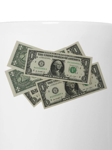 Dollar Scheine
