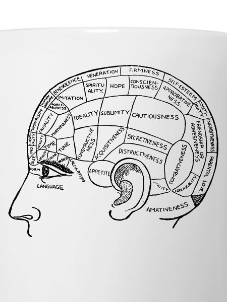 Brain Feelings Anatomy