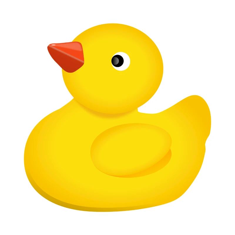 Canards de bain