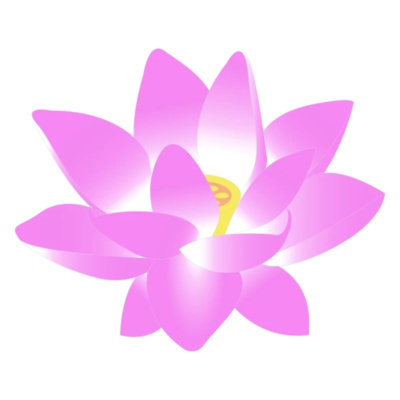 Blume Lotus