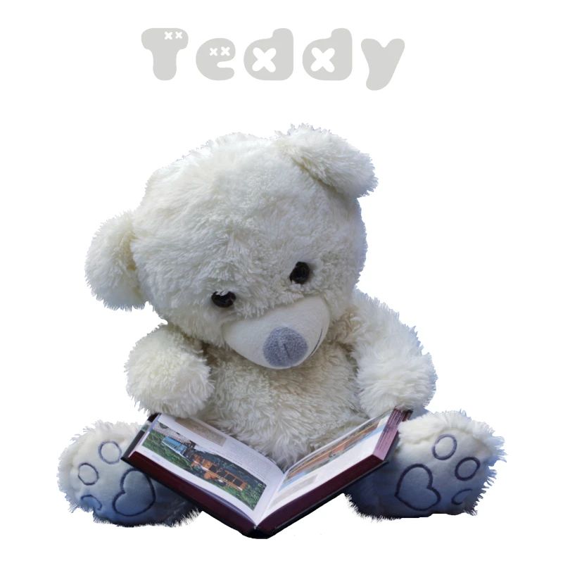 Teddy