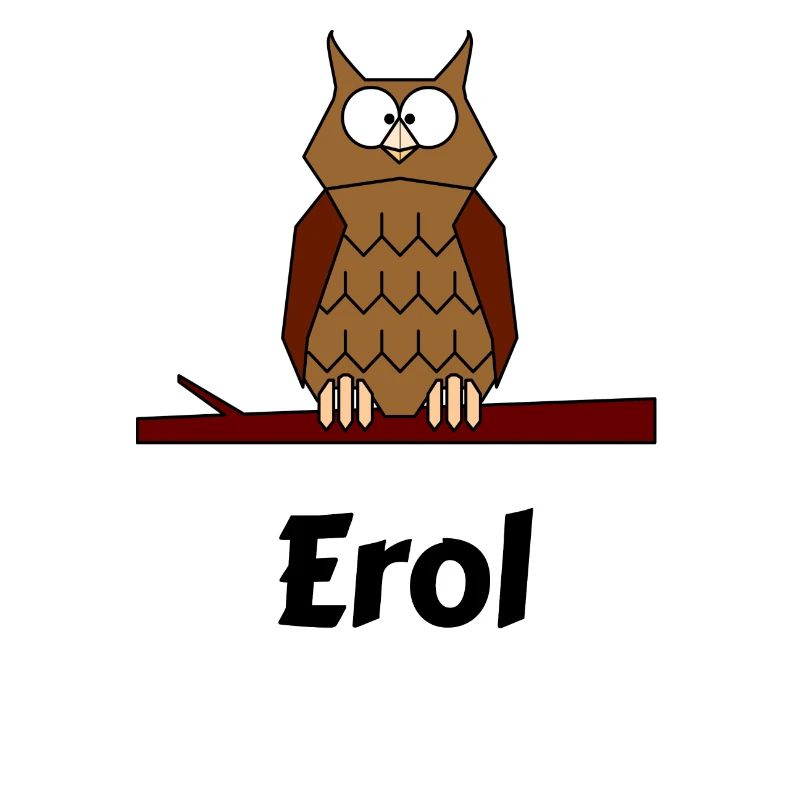 Kinder Schule Geboren Eule Motiv Erol