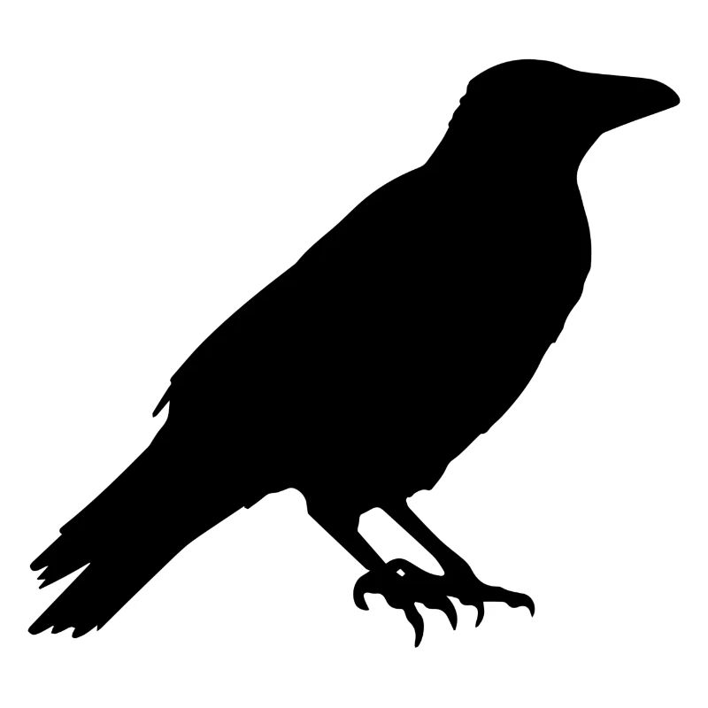Raven