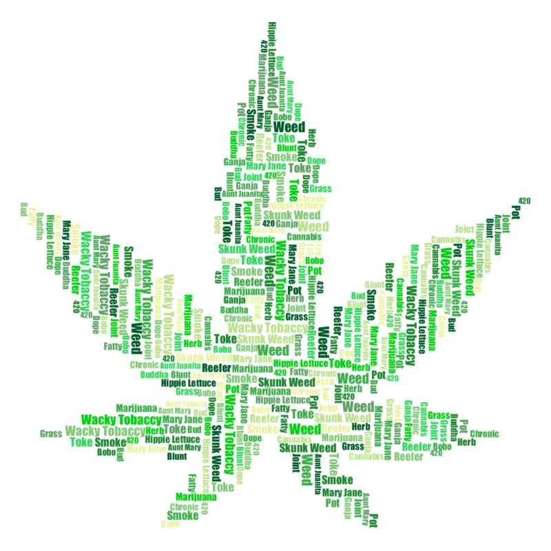 Marihuana Gras Hanf THC Cannabis