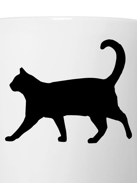 chat fier