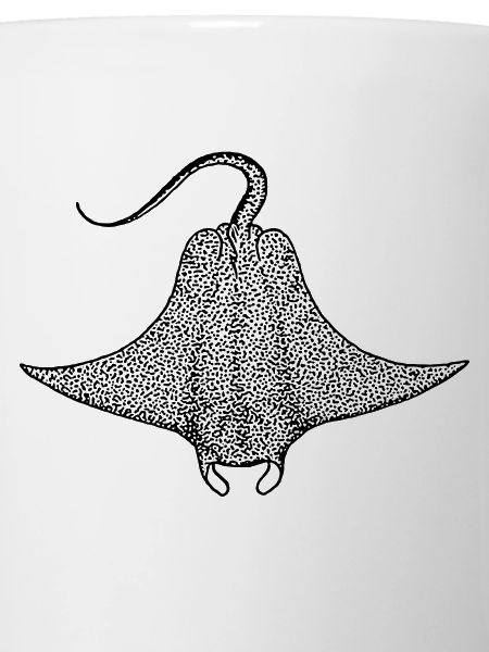 Rochen