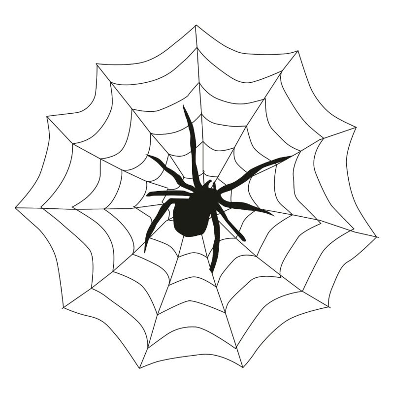 Spider web
