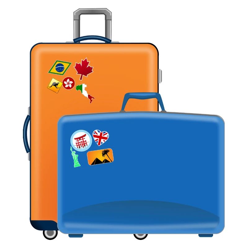 valise