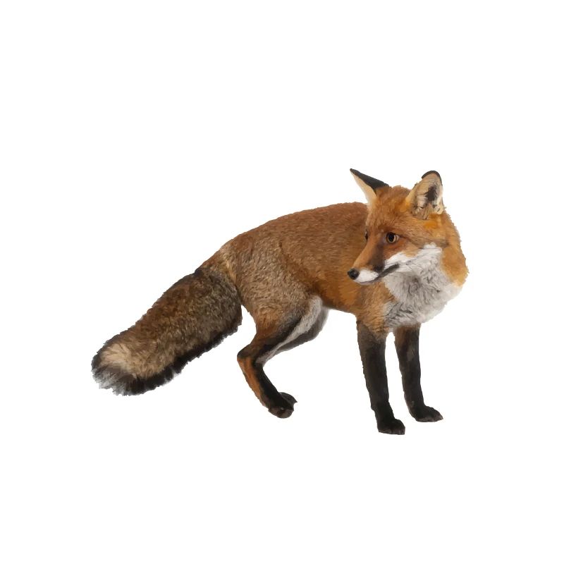 Fuchs